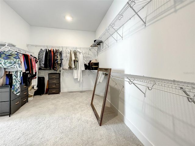 8859 IVY STARK BOULEVARD, Wesley Chapel, FL 33545