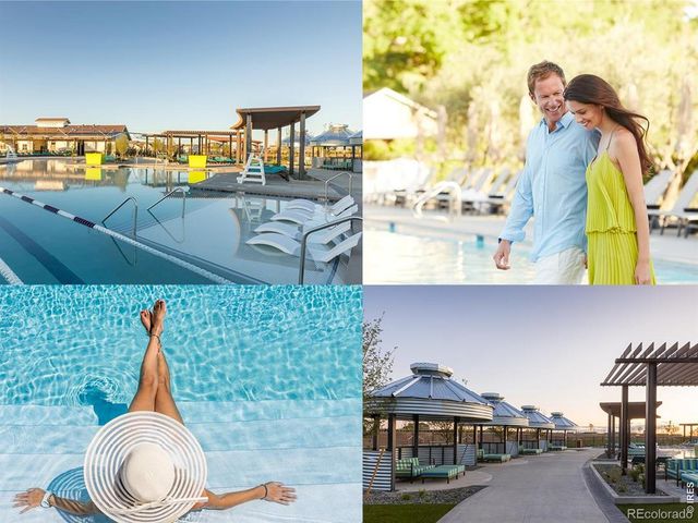 1956 Blossom Grove Drive, Windsor, CO 80550