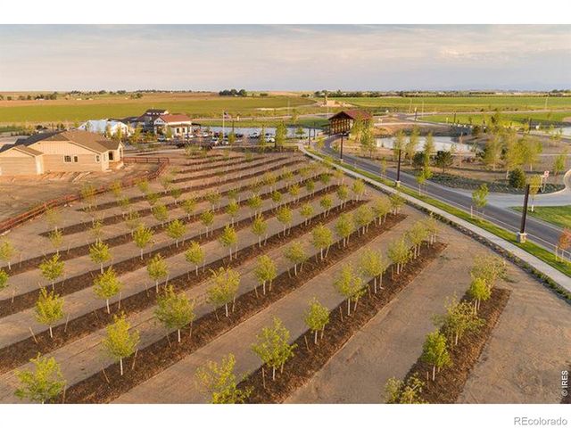 1956 Blossom Grove Drive, Windsor, CO 80550