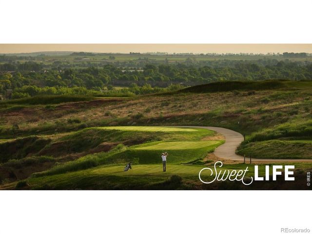 1956 Blossom Grove Drive, Windsor, CO 80550