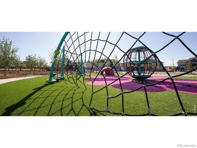 1956 Blossom Grove Drive, Windsor, CO 80550