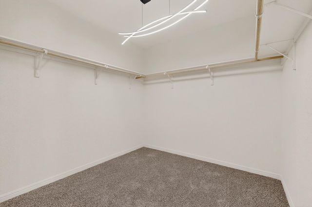 361 Wren LN, Kyle, TX 78640