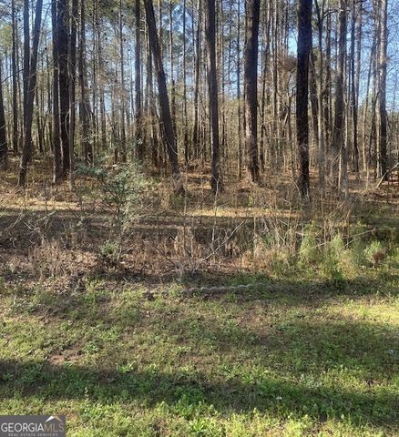 137 Honey Creek Road, Mcdonough, GA 30252