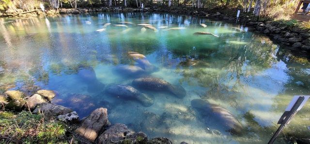 3929 N SAGOMON POINT, Crystal River, FL 34428