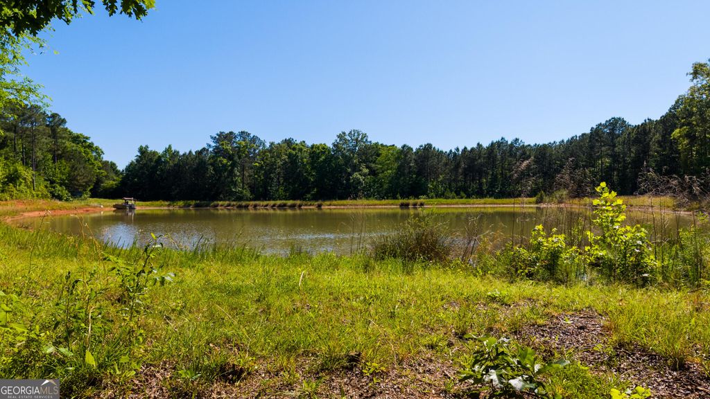 0 Calhoun Falls Highway, Elberton, GA 30635 — photo 4