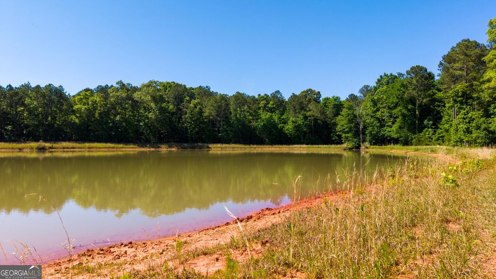 0 Calhoun Falls Highway, Elberton, GA 30635 — photo 5