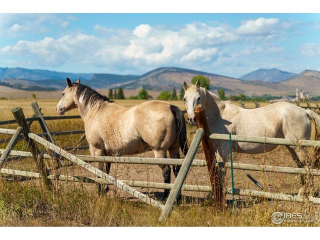 5336 Caribou Springs Trl, Longmont, CO 80503