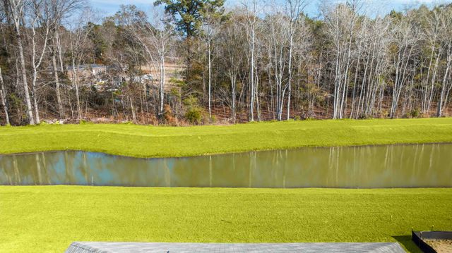 153 Mims Academy Drive, Harleyville, SC 29448