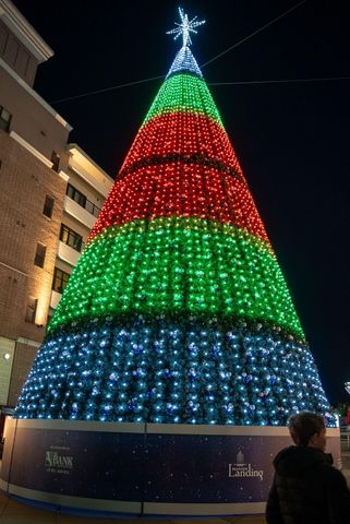 9207 Branson Landing Boulevard 207, Branson, MO 65616