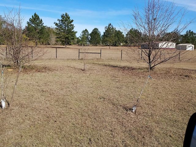 1287 Dock Lamb, Pansey, AL 36370