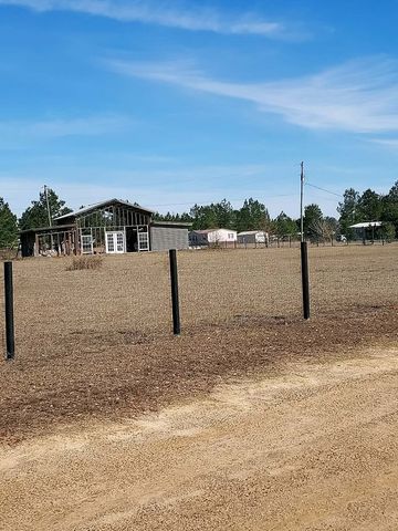 1287 Dock Lamb, Pansey, AL 36370