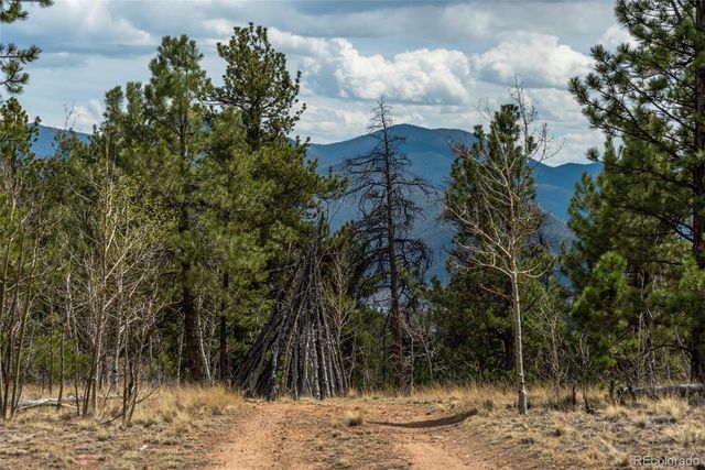 75 York Court 11, Jefferson, CO 80456