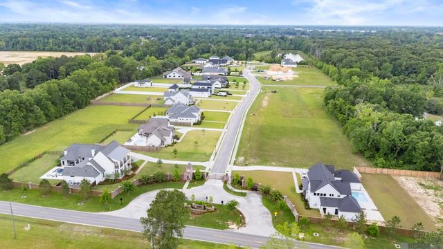 10523 Manchac Reserve Dr, Baton Rouge, LA 70817