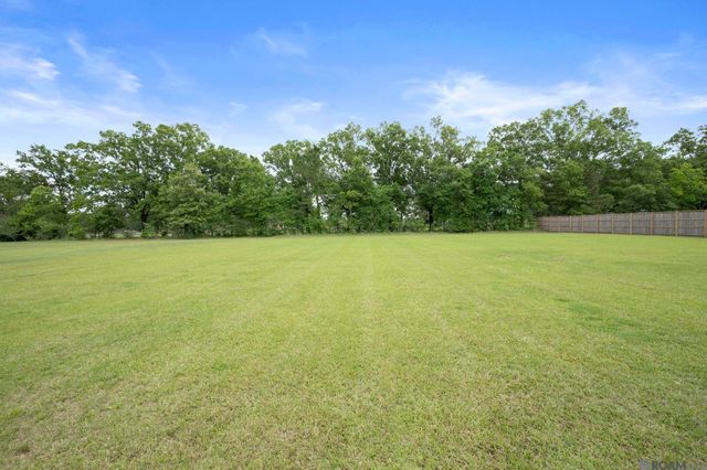 10523 Manchac Reserve Dr, Baton Rouge, LA 70817