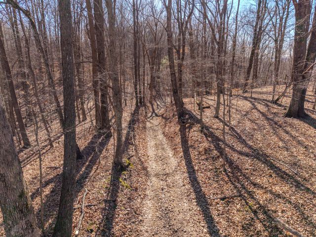 0 Murrell Bench Rd, Belvidere, TN 37306