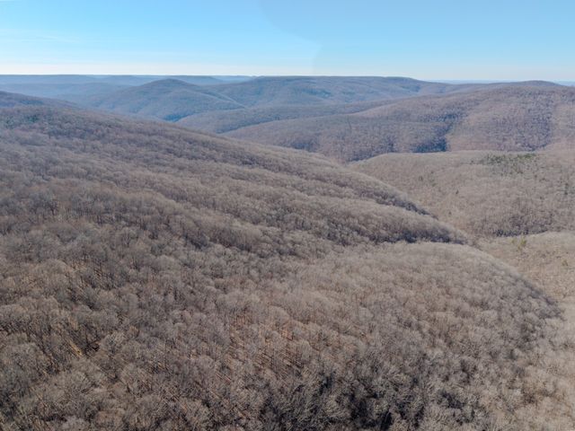 0 Murrell Bench Rd, Belvidere, TN 37306