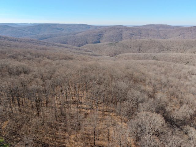 0 Murrell Bench Rd, Belvidere, TN 37306