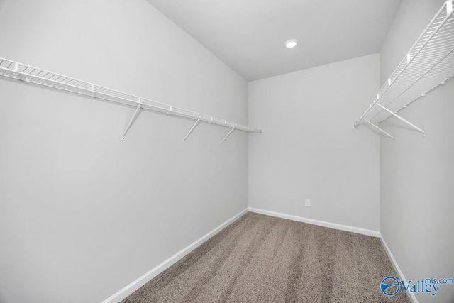 29211 Otley Court, Harvest, AL 35749