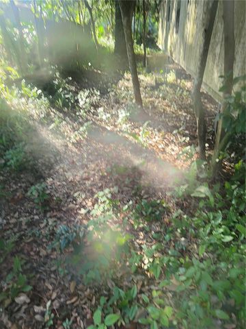 1128 N JACKSON AVENUE S, Spring Hill, FL 34604