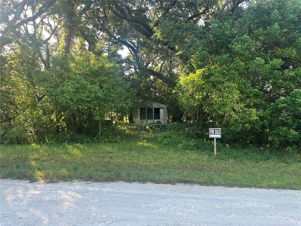 1128 N JACKSON AVENUE S, Spring Hill, FL 34604