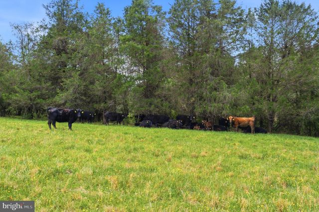 15 CHILTON LN, Sperryville, VA 22740
