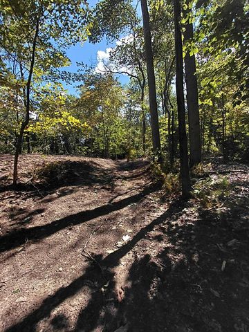 9437 E U V Avenue, Brady Twp, MI 49097