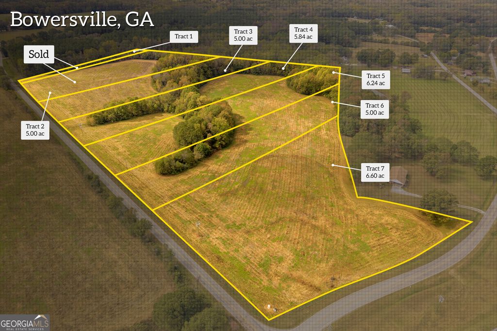 0 Airline School Road TRACT 6, Bowersville, GA 30516 — photo 3