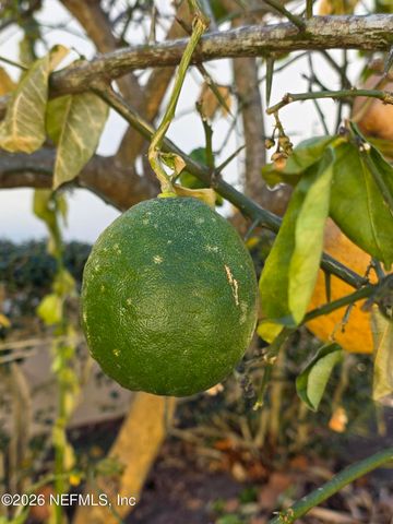 10150 BELLE RIVE Boulevard 2205, Jacksonville, FL 32256