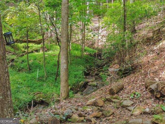 87 Garden Lane, Cleveland, GA 30528