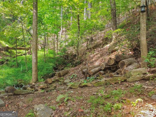 87 Garden Lane, Cleveland, GA 30528