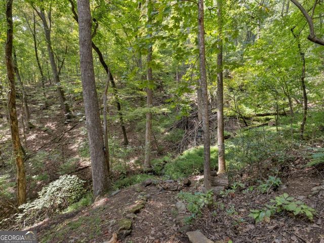 87 Garden Lane, Cleveland, GA 30528
