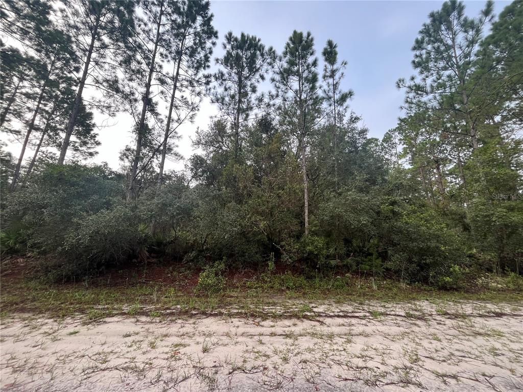 119 GARDENIA AVENUE, Georgetown, FL 32139