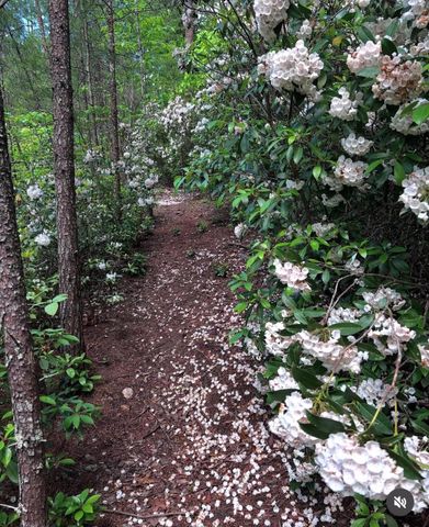 175 Green Hills Road, Mill Spring, NC 28756
