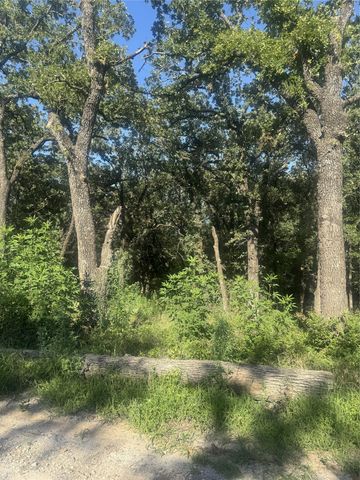 500 PR 3204, Bridgeport, TX 76426