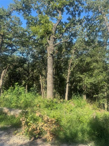 500 PR 3204, Bridgeport, TX 76426