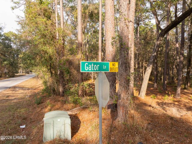 106 Gator Lane, Lady's Island, SC 29907