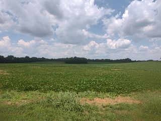 1 Benton, Cedar Hill, TN 37032