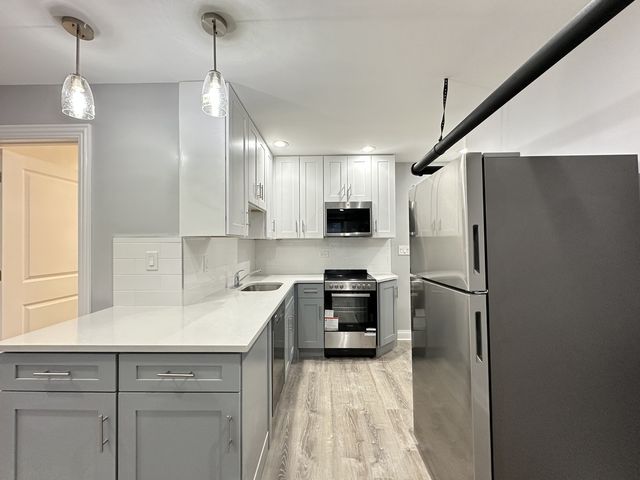 1224 W Rosemont Avenue GDN, Chicago, IL 60660
