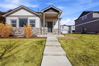 218 E Chestnut Street 4, Windsor, CO 80550