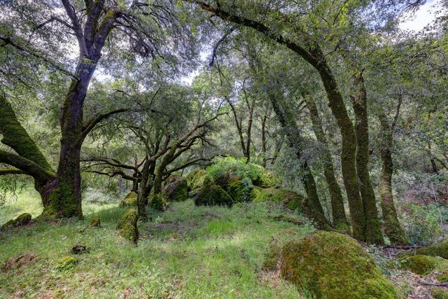 1210 Pine Vista Ln, Meadow Vista, CA 95722