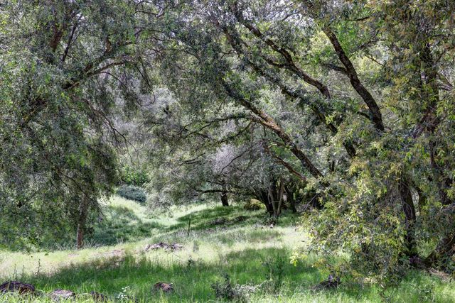 1210 Pine Vista Ln, Meadow Vista, CA 95722