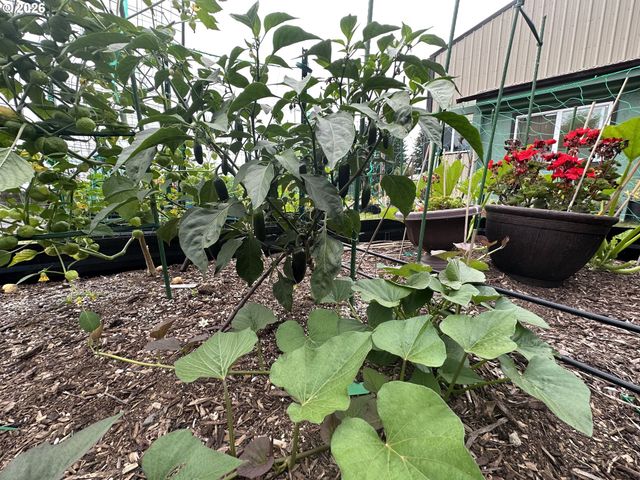 94475 Golf Course Ln, North Bend, OR 97459