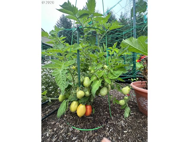 94475 Golf Course Ln, North Bend, OR 97459