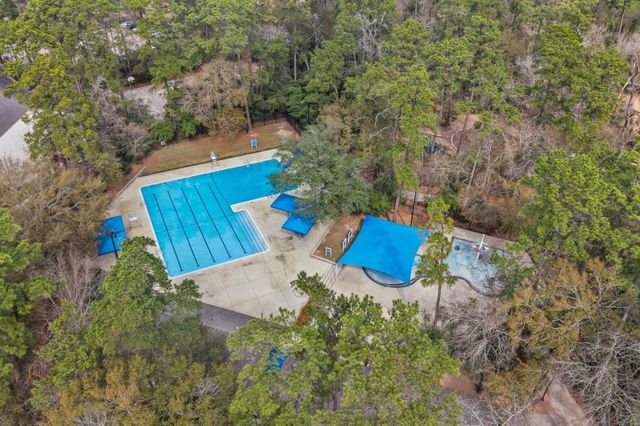 65 Indian Clover Drive, The Woodlands, TX 77381