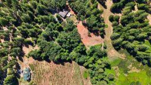 5595 Reservoir Rd, Georgetown, CA 95634