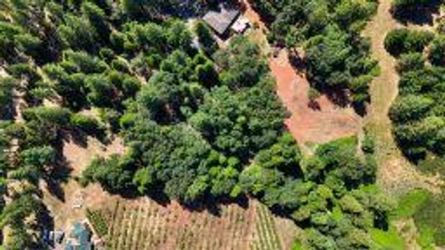 5595 Reservoir Rd, Georgetown, CA 95634