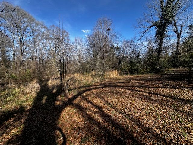 1208 W Whitner Street, Anderson, SC 29624