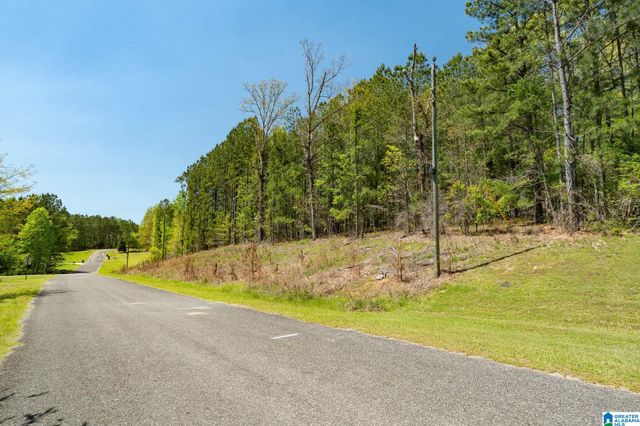 620 MOUNTAIN CREST DRIVE, Pell City, AL 35125
