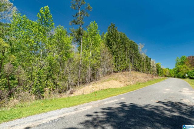 620 MOUNTAIN CREST DRIVE, Pell City, AL 35125