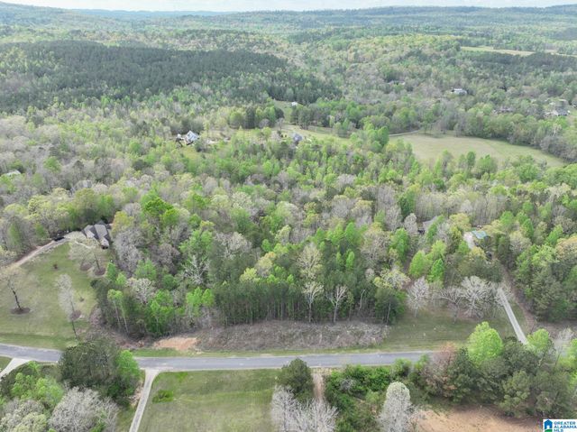 620 MOUNTAIN CREST DRIVE, Pell City, AL 35125